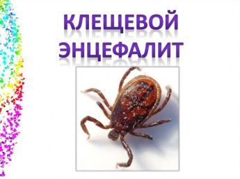 Профилактика клещевого вирусного энцефалита